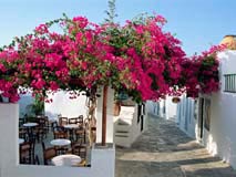 Sifnos Apollonia